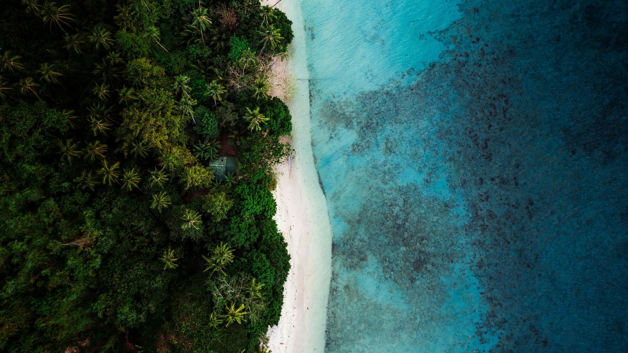 ocean and beach